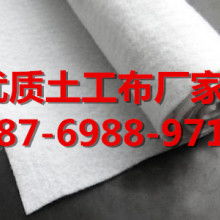 土工格柵 現(xiàn)代工程建設(shè)中的隱形守護者